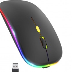 BWM6 KABLOSUZ ŞAJLI RGB MOUSE